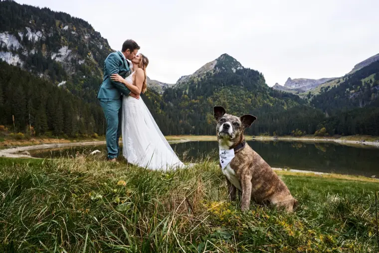 Hochzeitsreportage: Brautpaar mit Hund am Bergsee